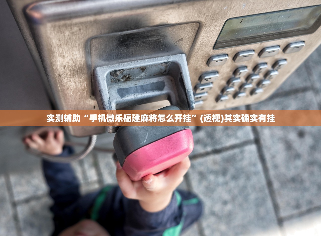 实测辅助“手机微乐福建麻将怎么开挂”(透视)其实确实有挂
