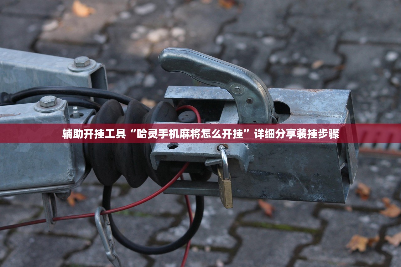 推荐一款“微乐海南麻将外卦辅助软件下载”细辅助教程分享