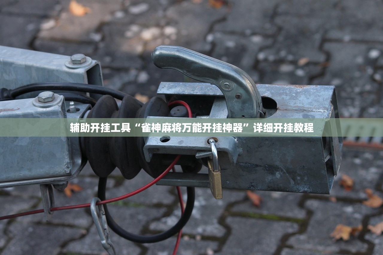 玩家必读“微乐海南麻将怎么提高胜率”细辅助教程分享