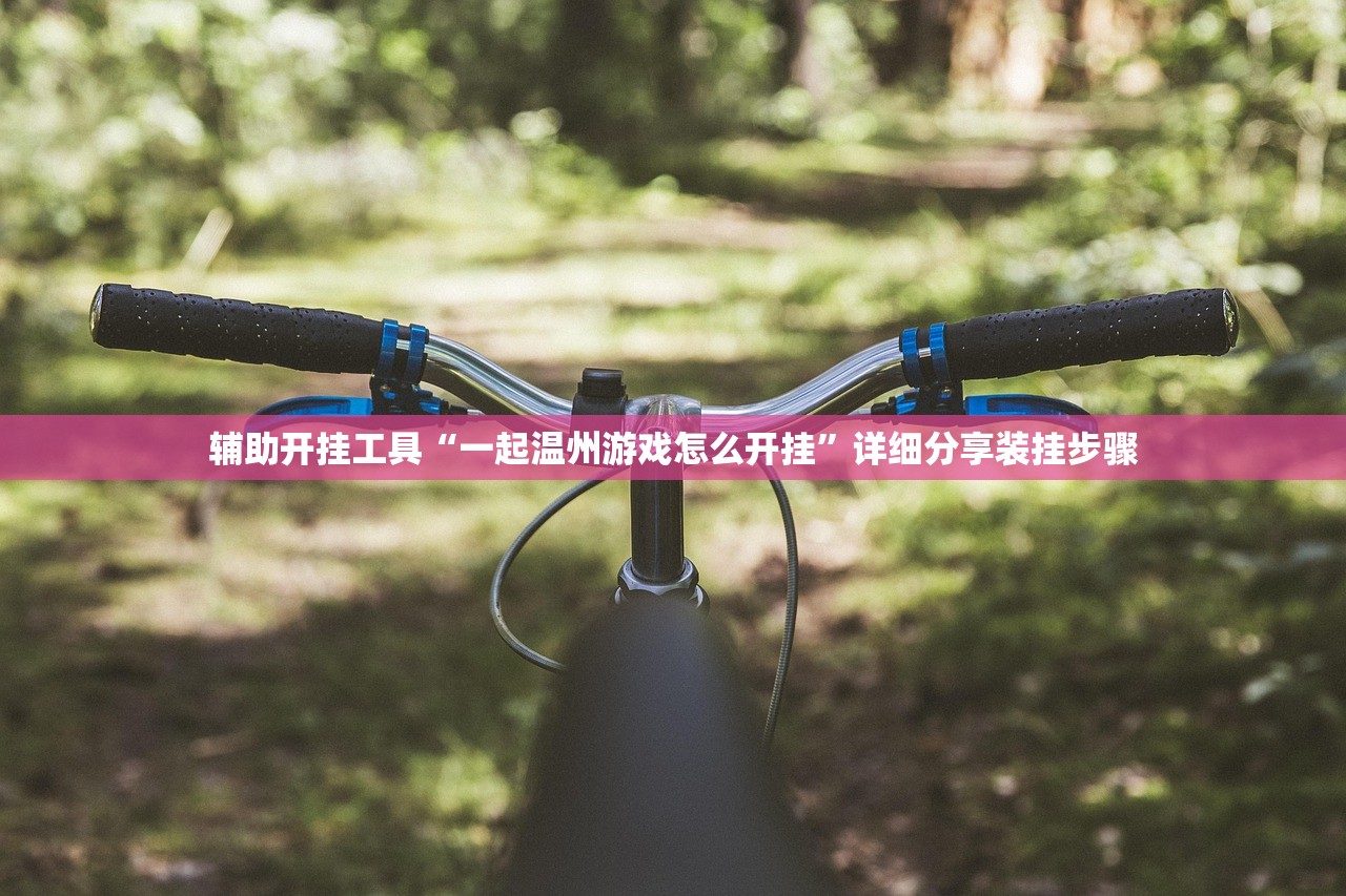 辅助开挂工具“一起温州游戏怎么开挂	”详细分享装挂步骤