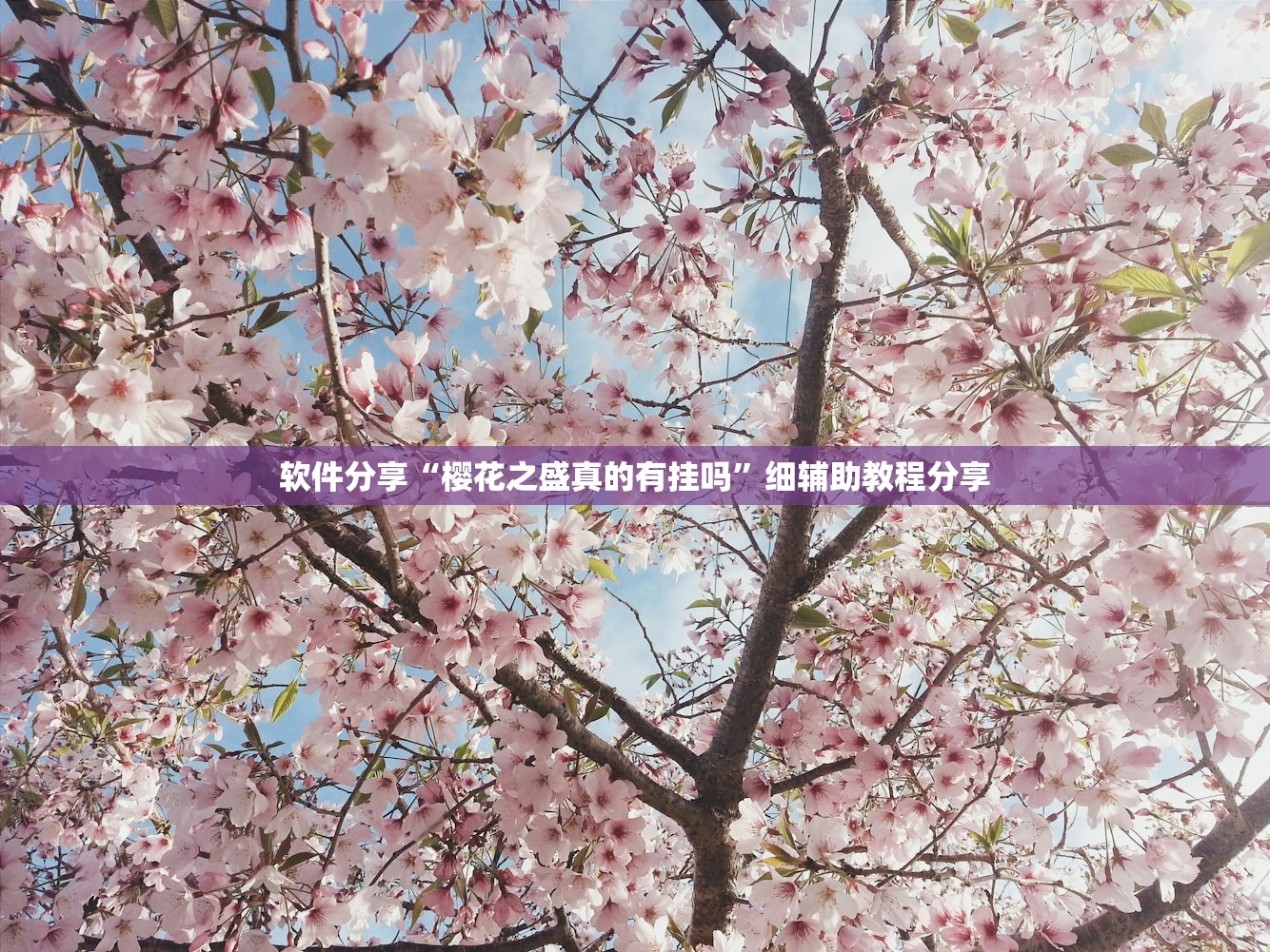 【新款人民币/新版人民币怎么辨别真假】