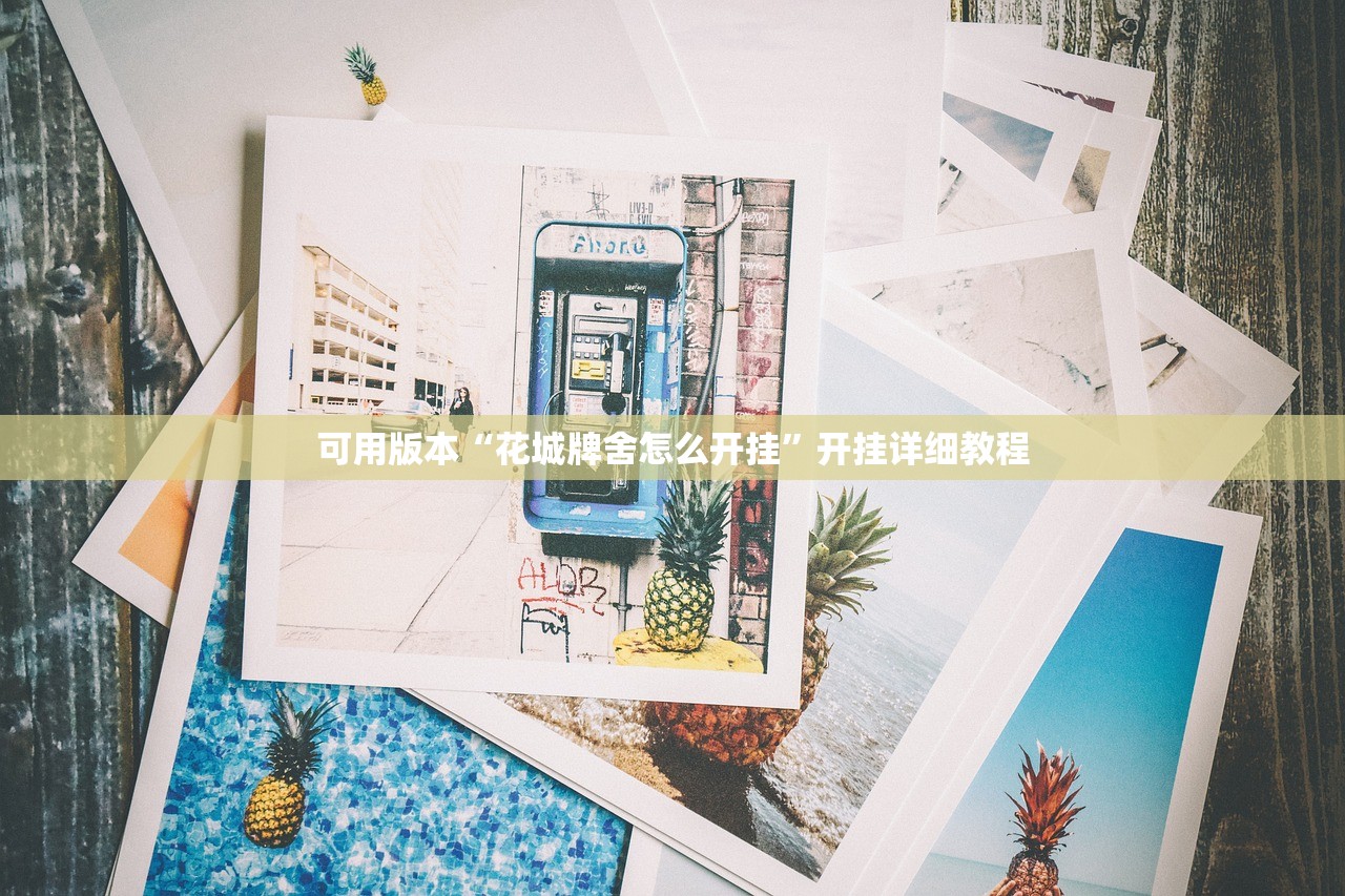 可用版本“花城牌舍怎么开挂”开挂详细教程