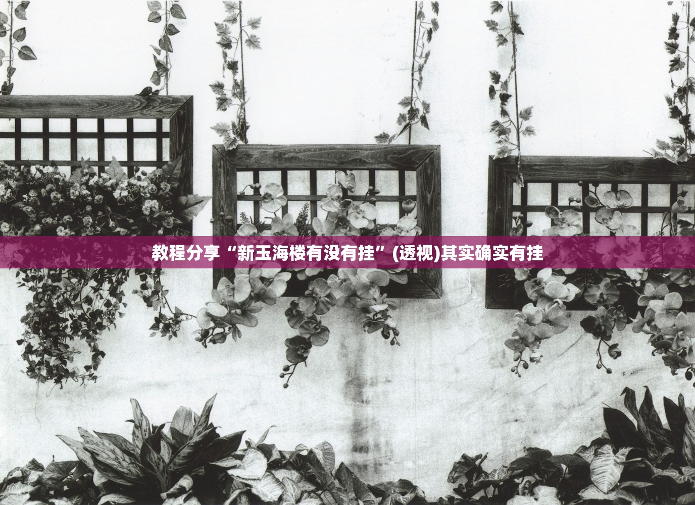 辅助神器“逗娱碰胡卖挂价格表”开挂(透视)最新辅助详细