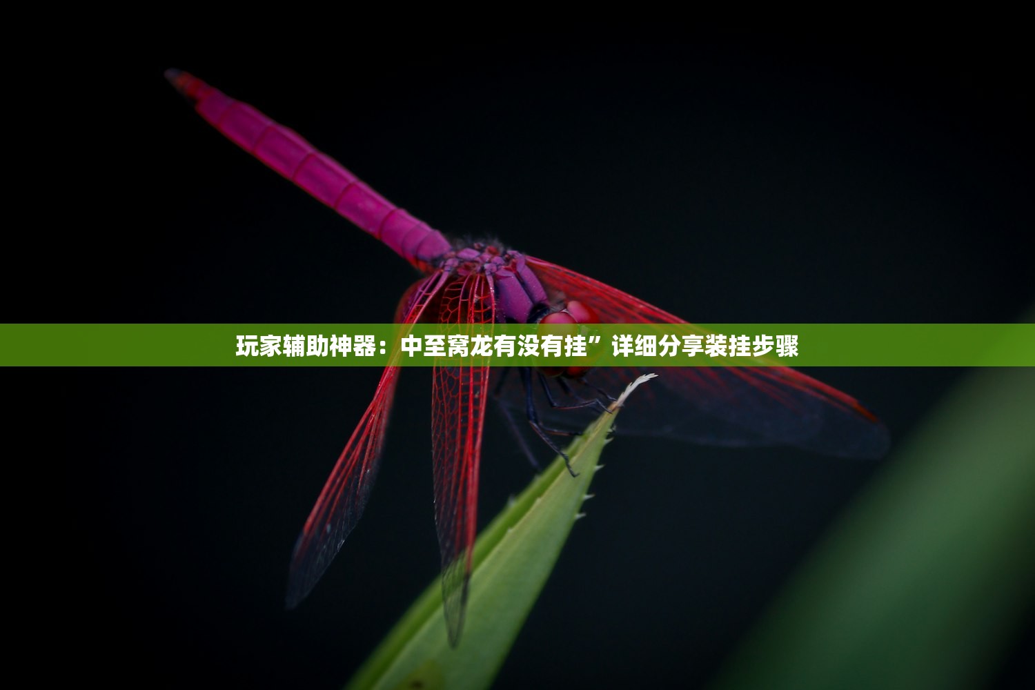 【31省份增本土确诊166例陕西165例/陕西省确诊本土病例】