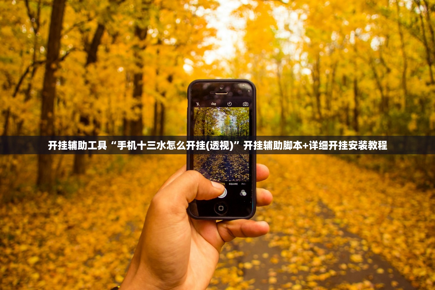 教程辅助!“大赢家跑得快免费挂”开挂(透视)辅助教程