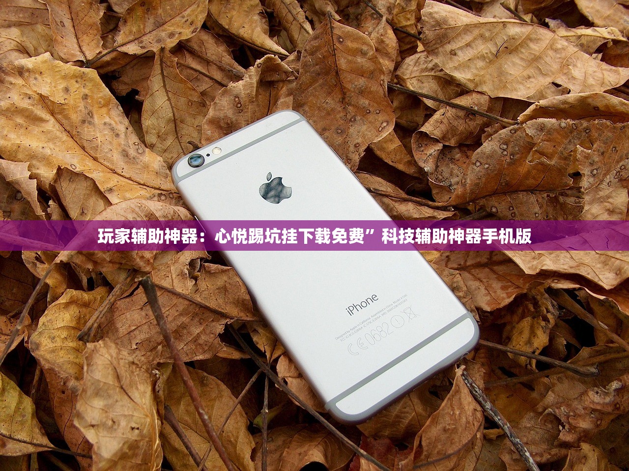 教程更新!：皇冠十三水有挂吗”开挂详细教程