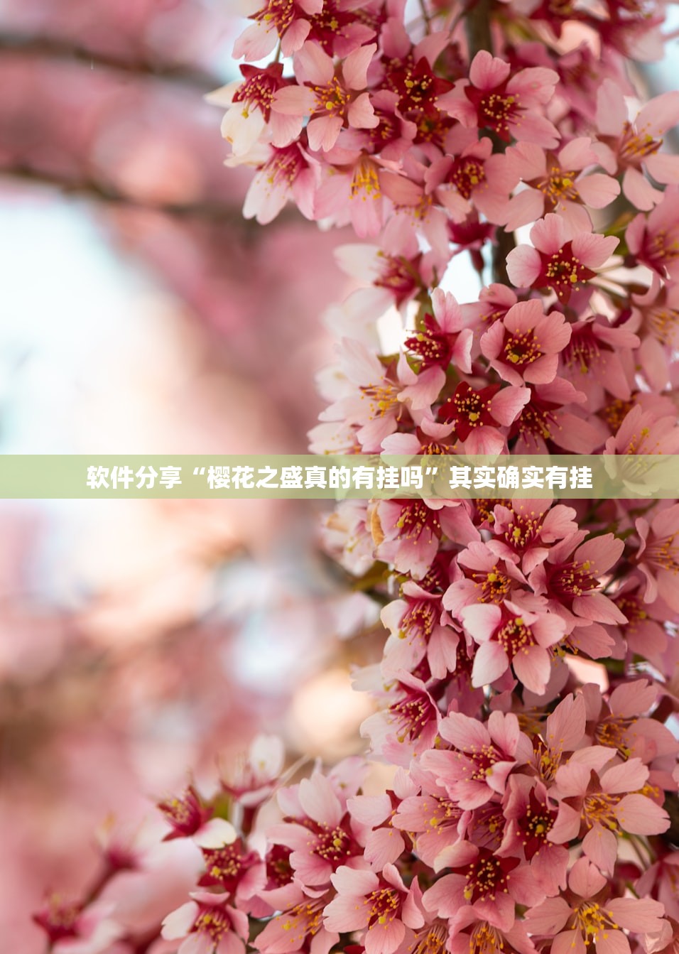 教程分享“微乐江苏麻将怎么提高胜率”(透视挂)辅助下载教程