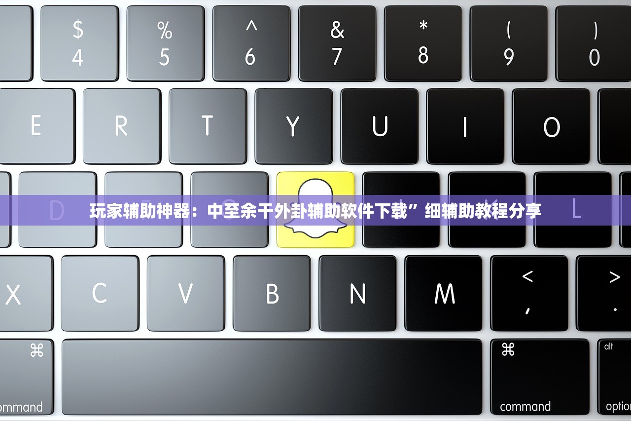 教程辅助!“衢州都莱怎么提高胜率”(透视)其实确实有挂