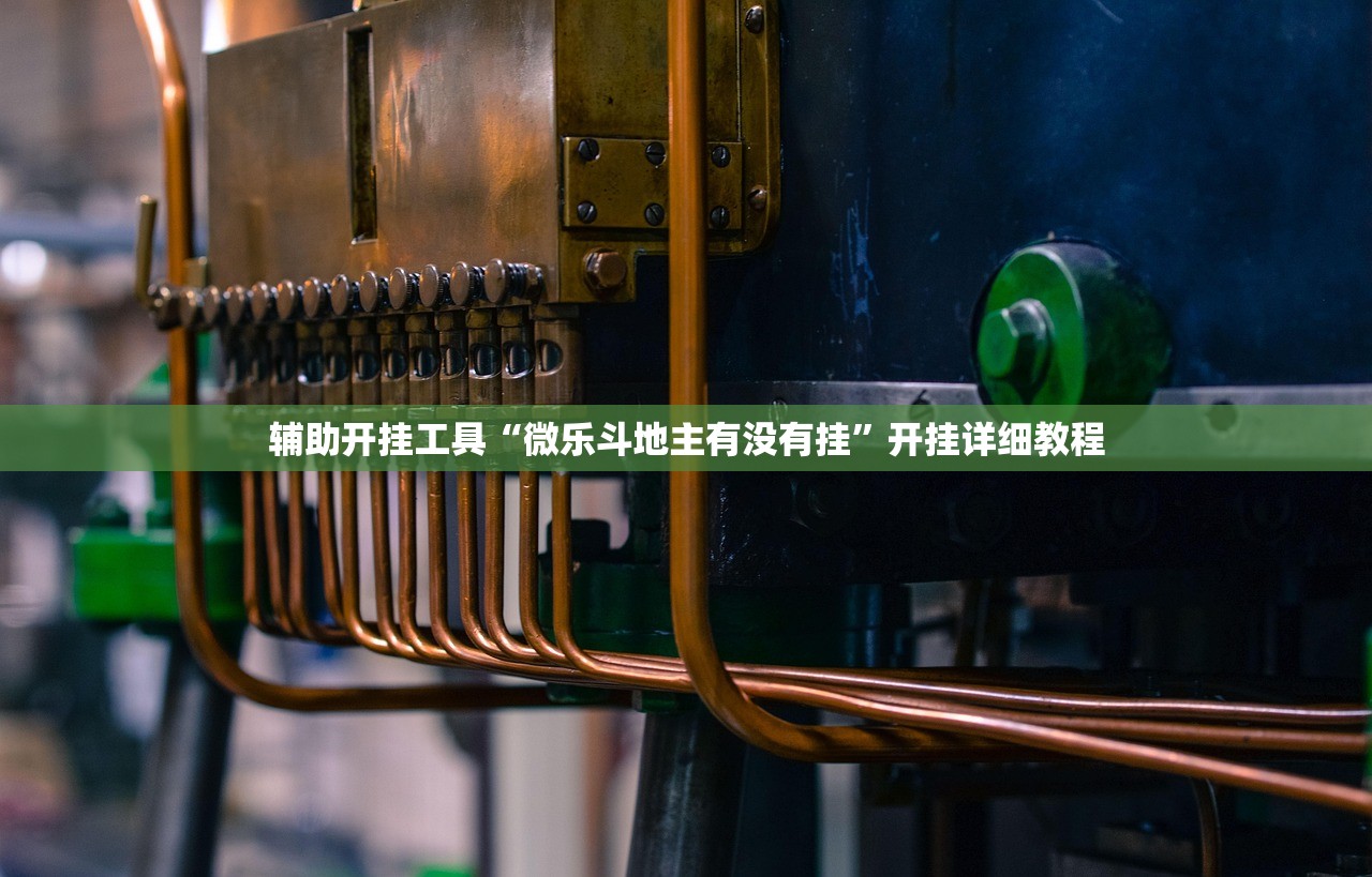 辅助开挂工具“微乐斗地主有没有挂	”开挂详细教程
