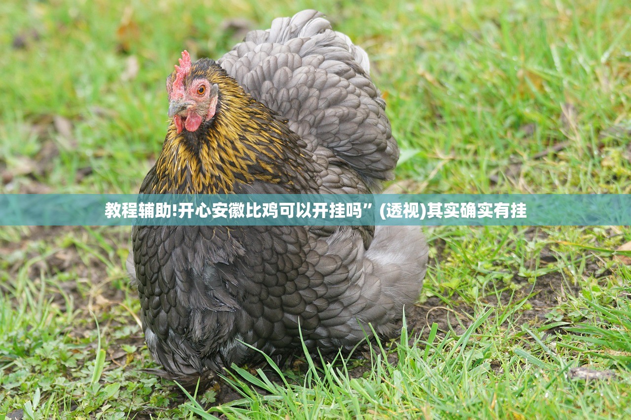 实测神器辅助“老铁联盟开挂神器下载”(透视挂)辅助下载教程