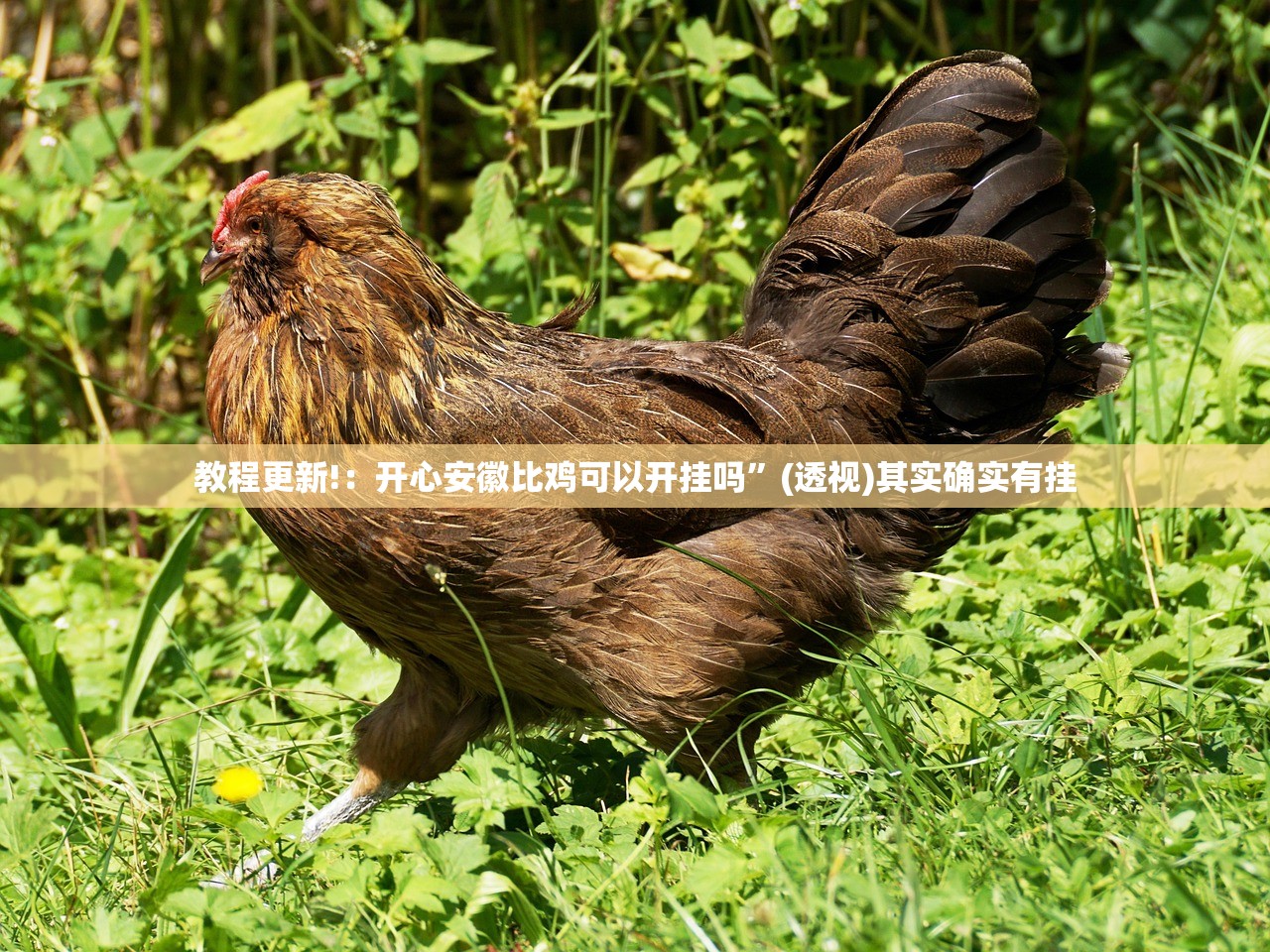 浙江三地报告新增确诊病例50例:浙江新增1+3