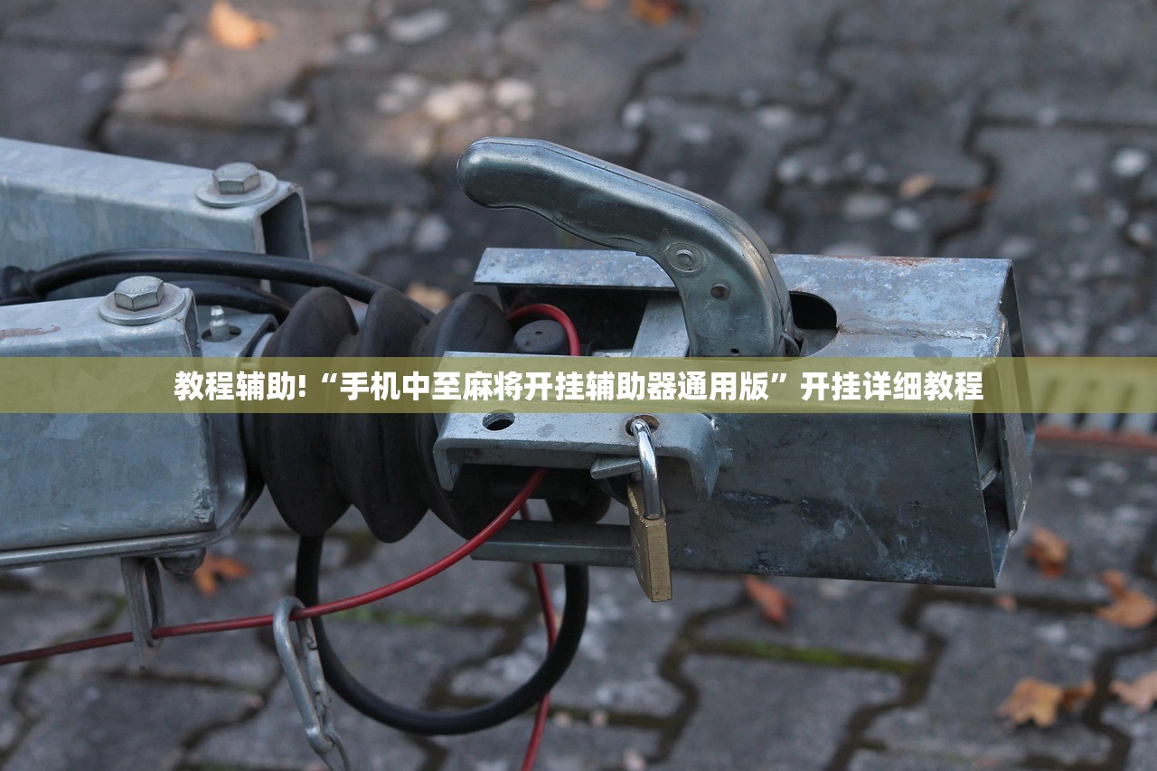 辅助神器“同城比鸡到底有没有过挂”(透视)其实确实有挂