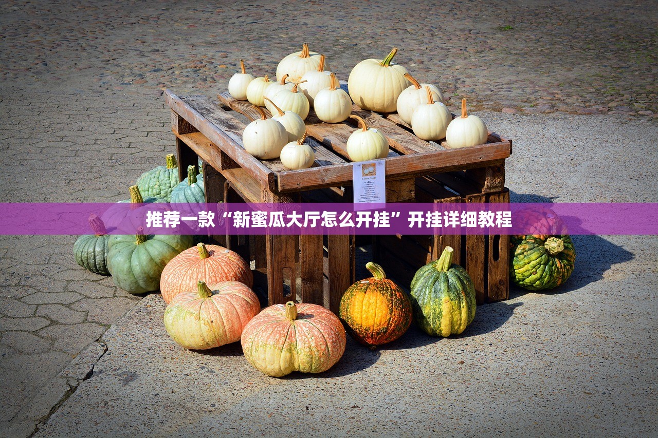 教程分享“永和备厅万能开挂神器”(免费)开挂辅助教学(最新辅助开挂教程)