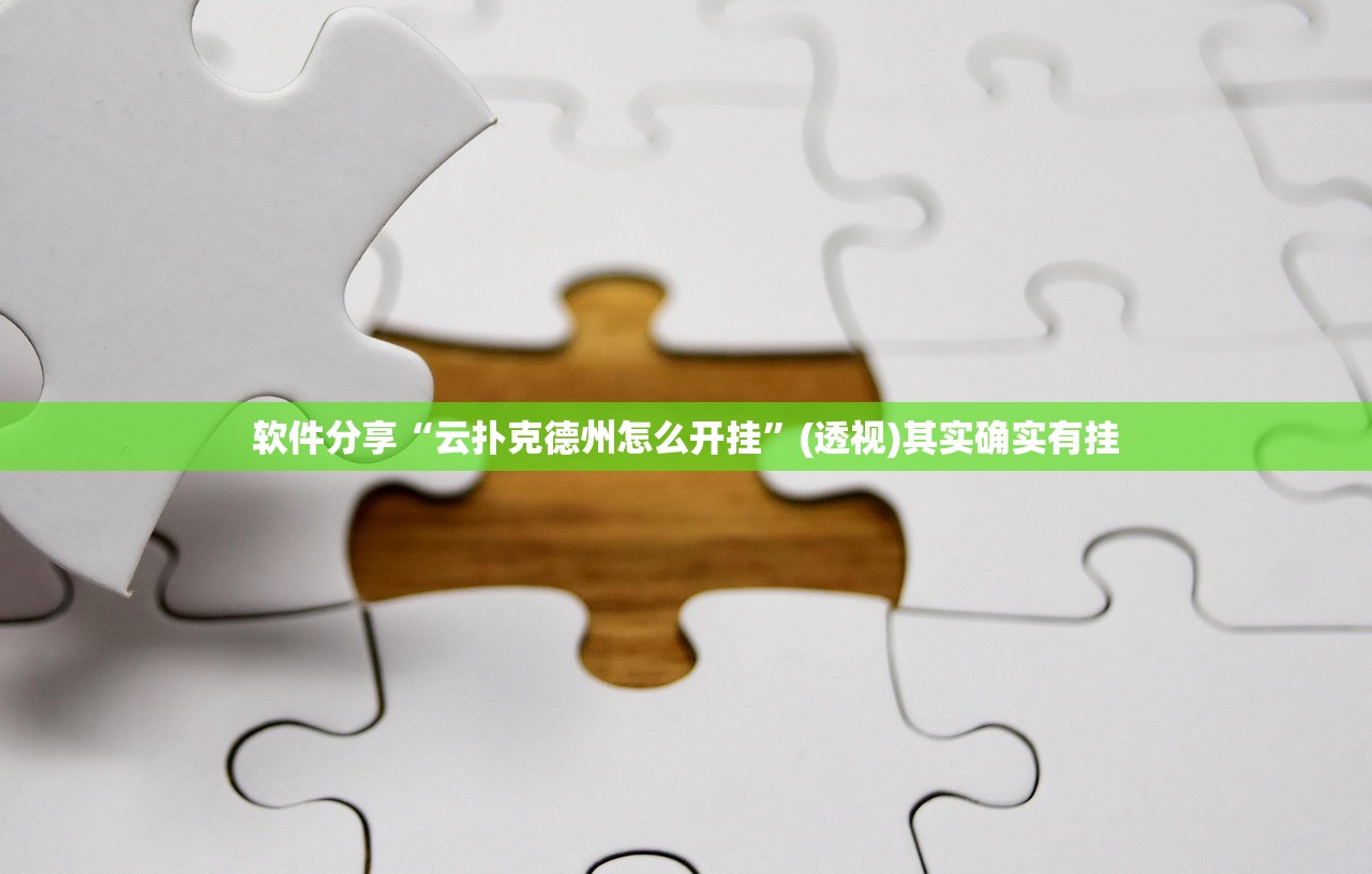 软件分享“云扑克德州怎么开挂”(透视)其实确实有挂