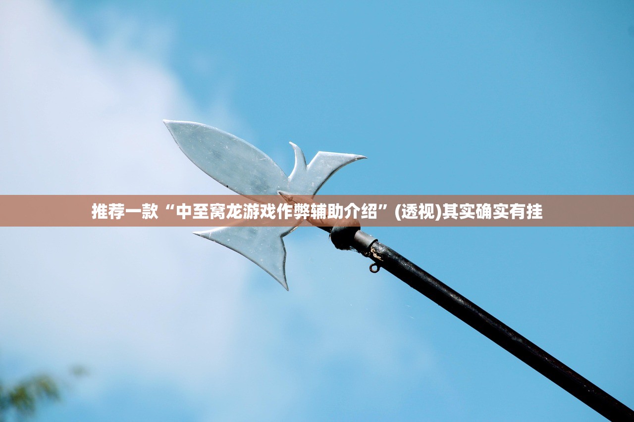 推荐一款“中至窝龙游戏作弊辅助介绍”(透视)其实确实有挂