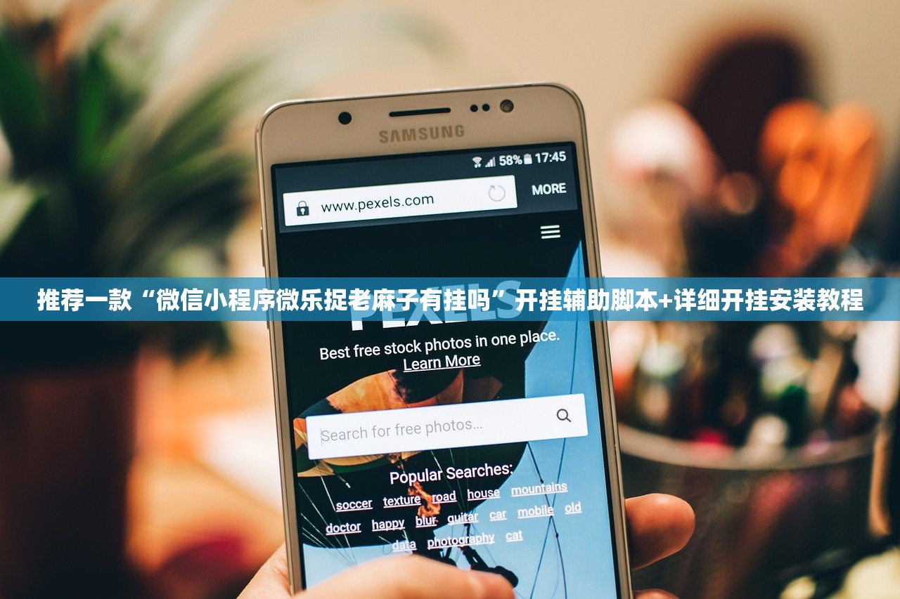推荐一款“微信小程序微乐捉老麻子有挂吗”开挂辅助脚本+详细开挂安装教程