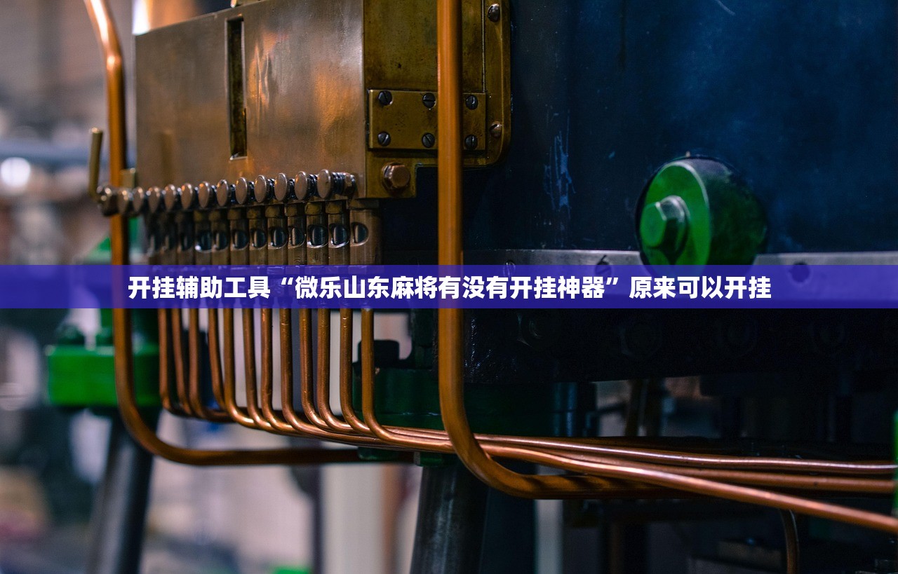 开挂辅助工具“微乐山东麻将有没有开挂神器”原来可以开挂