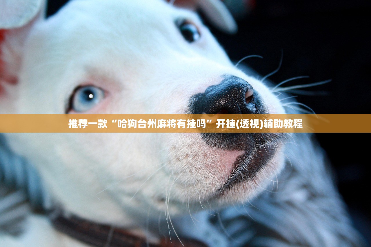 教程辅助!“开心娱乐可以开挂吗”(免费)开挂辅助教学(最新辅助开挂教程)