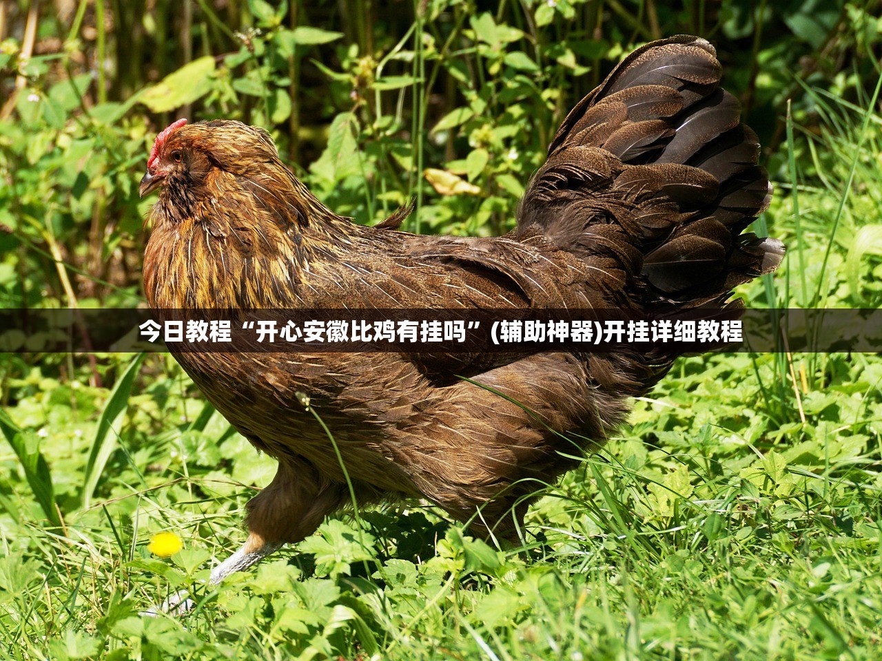 卧室门正反面两种色（卧室门儿颜色）