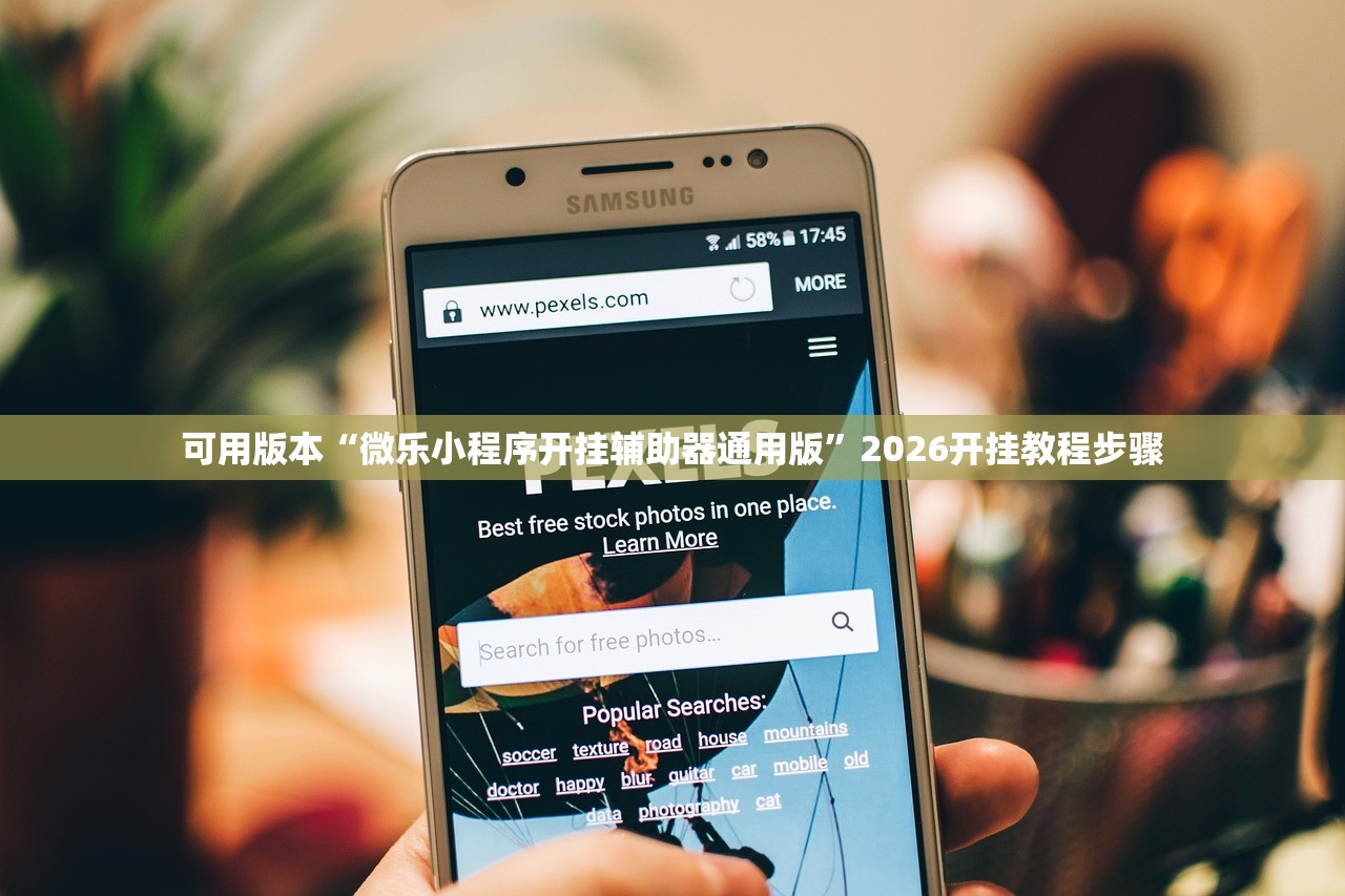 可用版本“微乐小程序开挂辅助器通用版	”2026开挂教程步骤