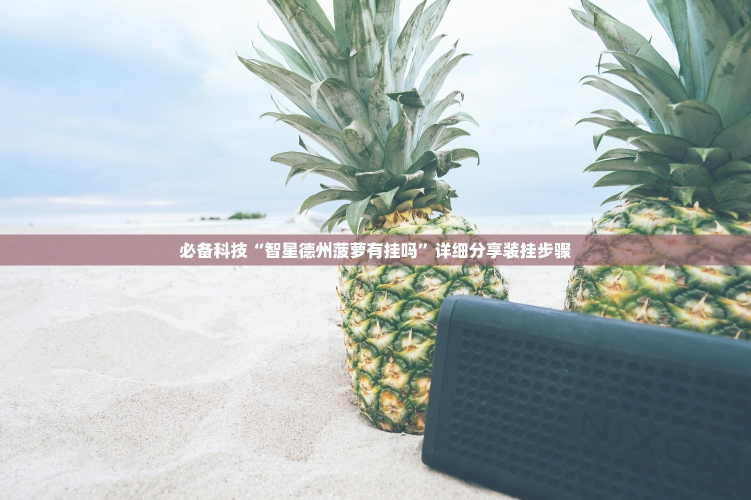 北京二级响应:北京二级响应的最新通知